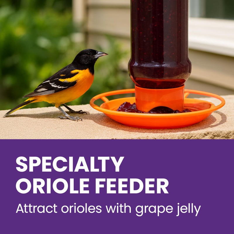 Perky-Pet 253 Wild Oriole Jelly Bird Feeder - 32 Ounce Feeder Capacity - Image 2
